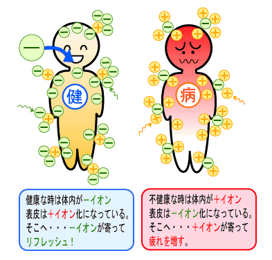 徳島 ソーラー ミヤウチ エココーティング
